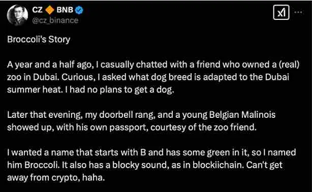 BROCCOLI Meme Coin