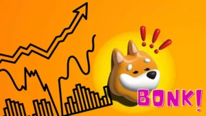 Is Bonk Coin Halal